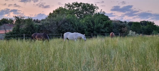 La Licorne Verte, Centre Equestres à Xanton-Chassenon