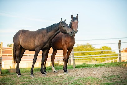 Haras des Nauzes, Centre Equestres à Pailloles