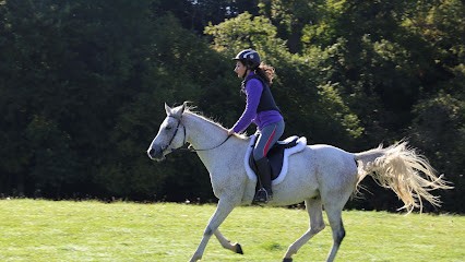 Horse Farm Des Ribieres, Centre Equestres à Saint-Genest-sur-Roselle