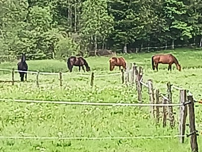 Les écuries Du Faing Henry, Pension pour Chevaux à Éloyes