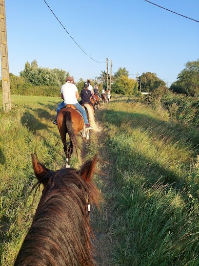 Le Ranch De Cacharel, Centre Equestres à L'Aiguillon-sur-Mer