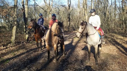 baladecheval31, Centre Equestres à Lasserre-Pradère