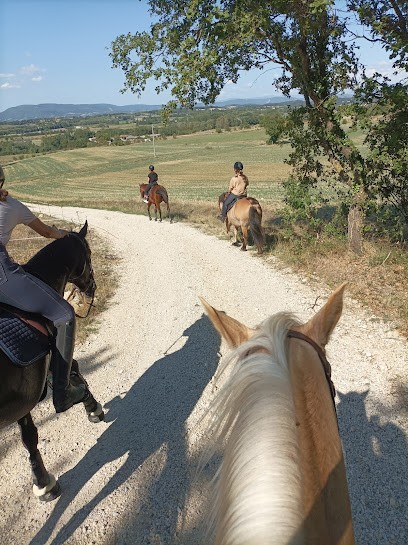 Domaine Équestre Sainte Andrée, Pension pour Chevaux à Puygiron