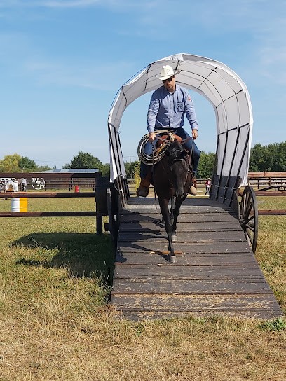 Haras du mel, Centre Equestres à Tuffé Val de la Chéronne