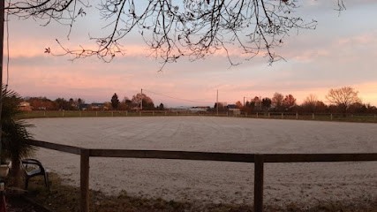Le Domaine Des Pinchinats Ecurie Owners - Odos, Pension pour Chevaux à Odos