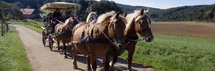 Les Ecuries De La Chaux Denis, Centre Equestres à Pont-d'Héry