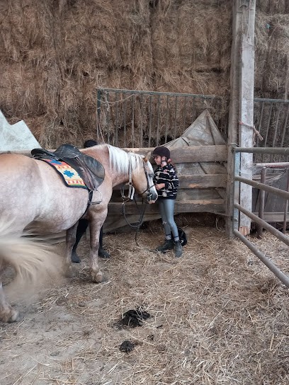Castle Stables, Pension pour Chevaux à Igny-Comblizy