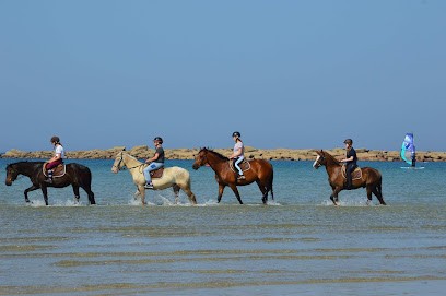 Rulan Equitation, Centre Equestres à Trégastel