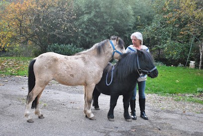 ETALON DE TROIS, Pension pour Chevaux à Lautenbach