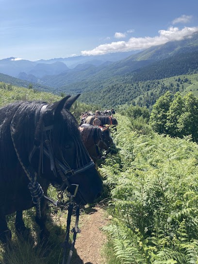 Centre Ėquestre La Souleille à Massat, Centre Equestres à Massat