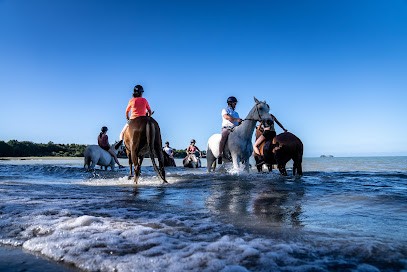 Haras Du Buot, Centre Equestres à Saint-Méloir-des-Ondes