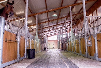 Stables Vineuil Jump, Pension pour Chevaux à Vineuil