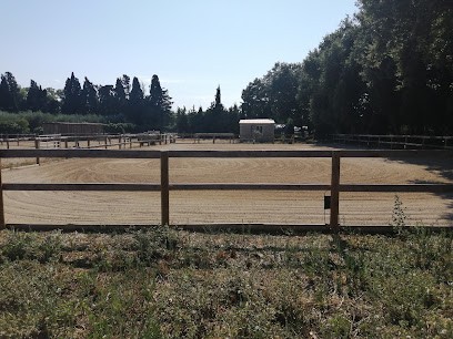Écurie l'As de Trèfle, Centre Equestres à Pézilla-la-Rivière
