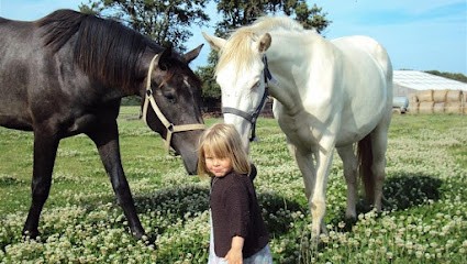 Poney Club Rhodos, Centre Equestres à Saffré