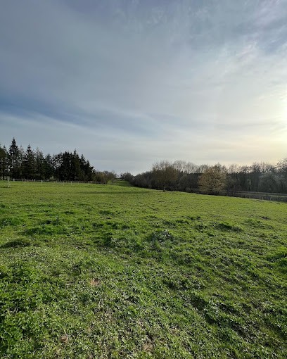 Ecurie EDR, Pension pour Chevaux à Burgnac