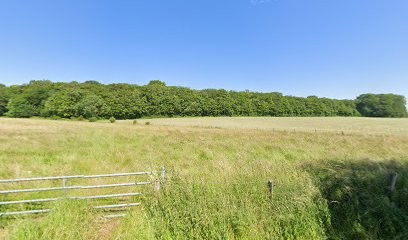 Vosges Cheval Nature, Centre Equestres à Vrécourt