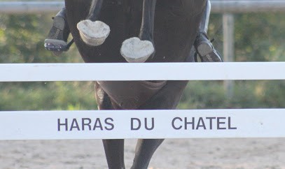 Haras Du Chatel, Pension pour Chevaux à Gratot