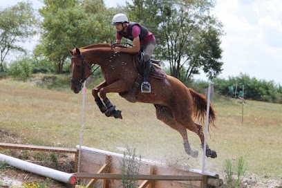 Les Écuries de Campsas, Pension pour Chevaux à Campsas