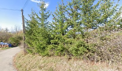 Elevage Des Ecrins, Centre Equestres à Saint-Léger-les-Mélèzes