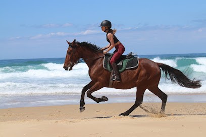 CENTRE EQUESTRE LE MARINA, Centre Equestres à Mimizan