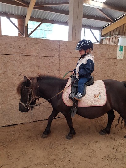 Company Hippique De Réauté, Centre Equestres à Montivilliers