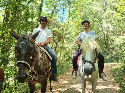 La Ferme Des Grandes Oreilles, Centre Equestres à Saint-André-de-Najac