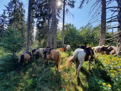 Ranch des portes du soleil, Centre Equestres à Saint-Jean-d'Aulps