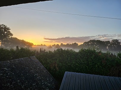 Haras Du Bois Massé, Pension pour Chevaux à Juvigné