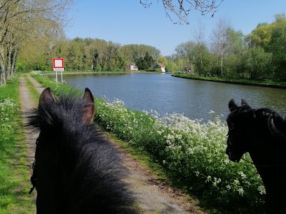 EquiO', Centre Equestres à Honnecourt-sur-Escaut