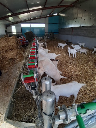 Farm De Barbarou, Centre Equestres à Martel