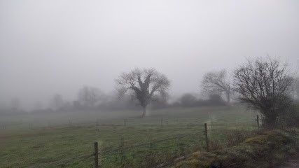 FERME EQUESTRE DE LA MELONIE, Centre Equestres à Sainte-Gemme