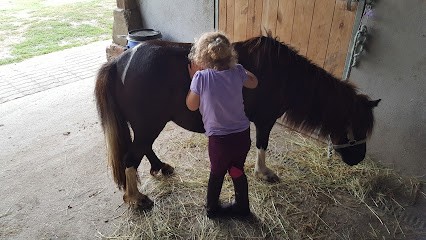 Poney club Ambre, Centre Equestres à Randan