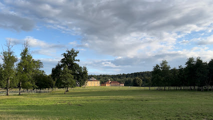 Écurie Des Boulingrins, Centre Équestre à Scey-sur-Saône-et-Saint-Albin