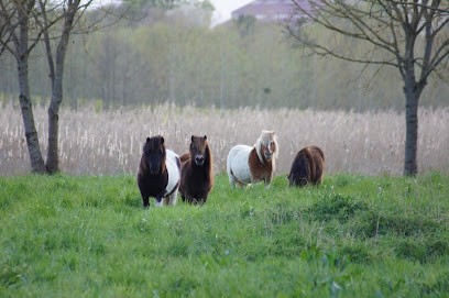 Poney Club Pirouette, Centre Equestres aux Repôts