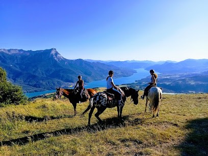 Les Chevaux Du Mont Guillaume, Centre Equestres à Embrun