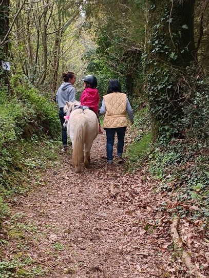 Pony Club De Ty Nadan, Centre Equestres à Locunolé