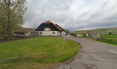 C.a.t. Croix Marine, Centre Equestres à Rouffach