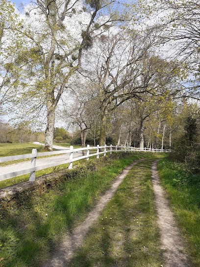 ECURIE DE PEHOU, Centre Equestres à Pleudihen-sur-Rance