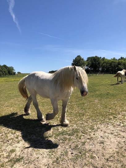 Horse Farm L'idalgo, Centre Equestres à Condéon