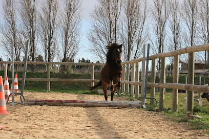 Écurie Dream Horse, Centre Equestres à Saint-Nazaire-de-Pézan