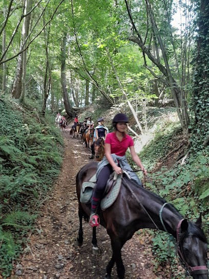 Ecurie Anthemis Centre Equestre, Centre Equestres à Martainville