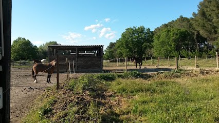 Stalls Du Haut Canadel, Centre Equestres à Miramas