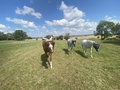 Écuries des roses, Pension pour Chevaux à Diges