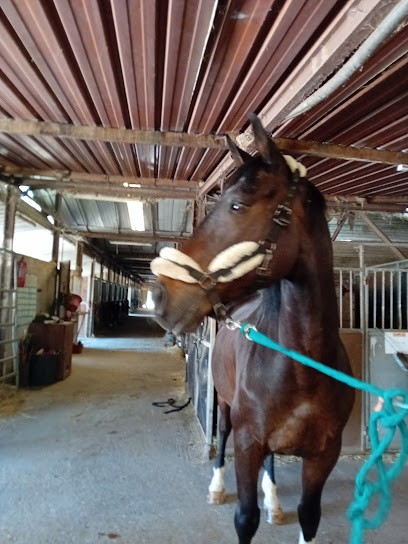 Poney-Club De Sciez, Centre Equestres à Sciez