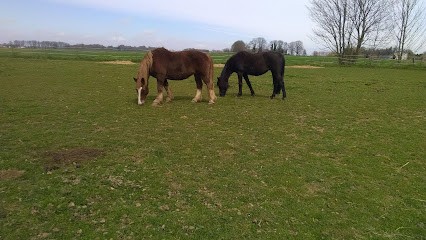 SAMPIC Yves, Pension pour Chevaux aux Trois-Pierres