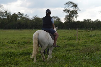 Raveno Equi Jump Earl, Centre Equestres à Sainte-Mère-Église