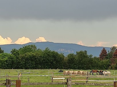 Écurie de la Vignotte, Pension pour Chevaux à Sainte-Julie
