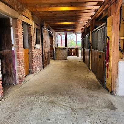 Stud De Tilau, Pension pour Chevaux à Bossendorf