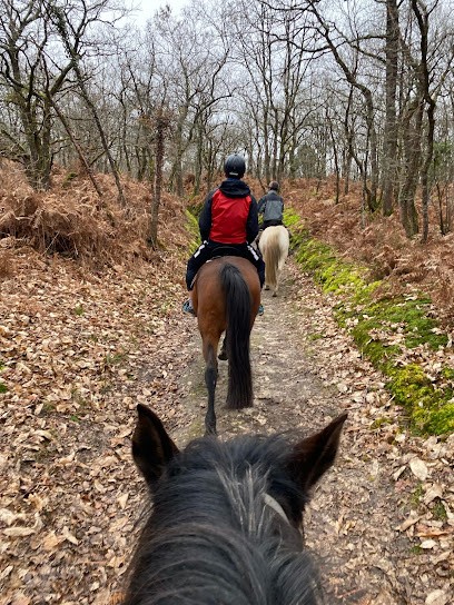 Relay Des Moulins Equestrian Tourism Balades À Cheval Bords De Loire Et Villages De Charme Près De Saumur, Centre Equestres à Gennes-Val-de-Loire