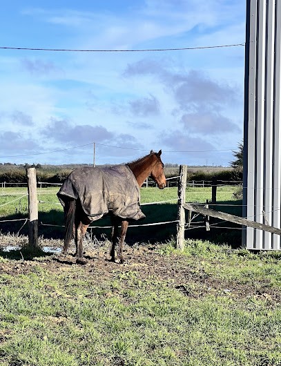 LES ECURIES DE SAINVAL, Centre Equestres à Roches-Prémarie-Andillé